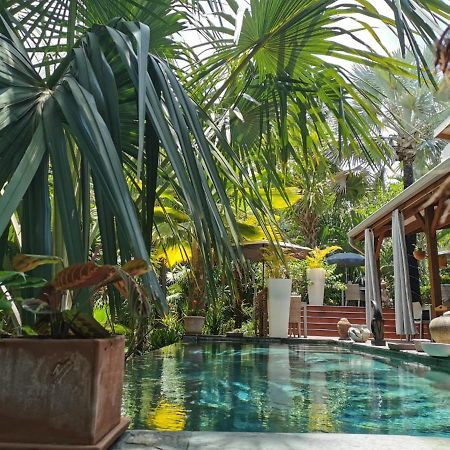 Lodge Palmae Saint Pierre Εξωτερικό φωτογραφία