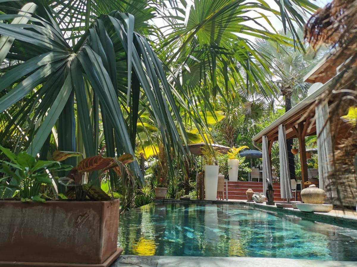 Lodge Palmae Saint Pierre Εξωτερικό φωτογραφία