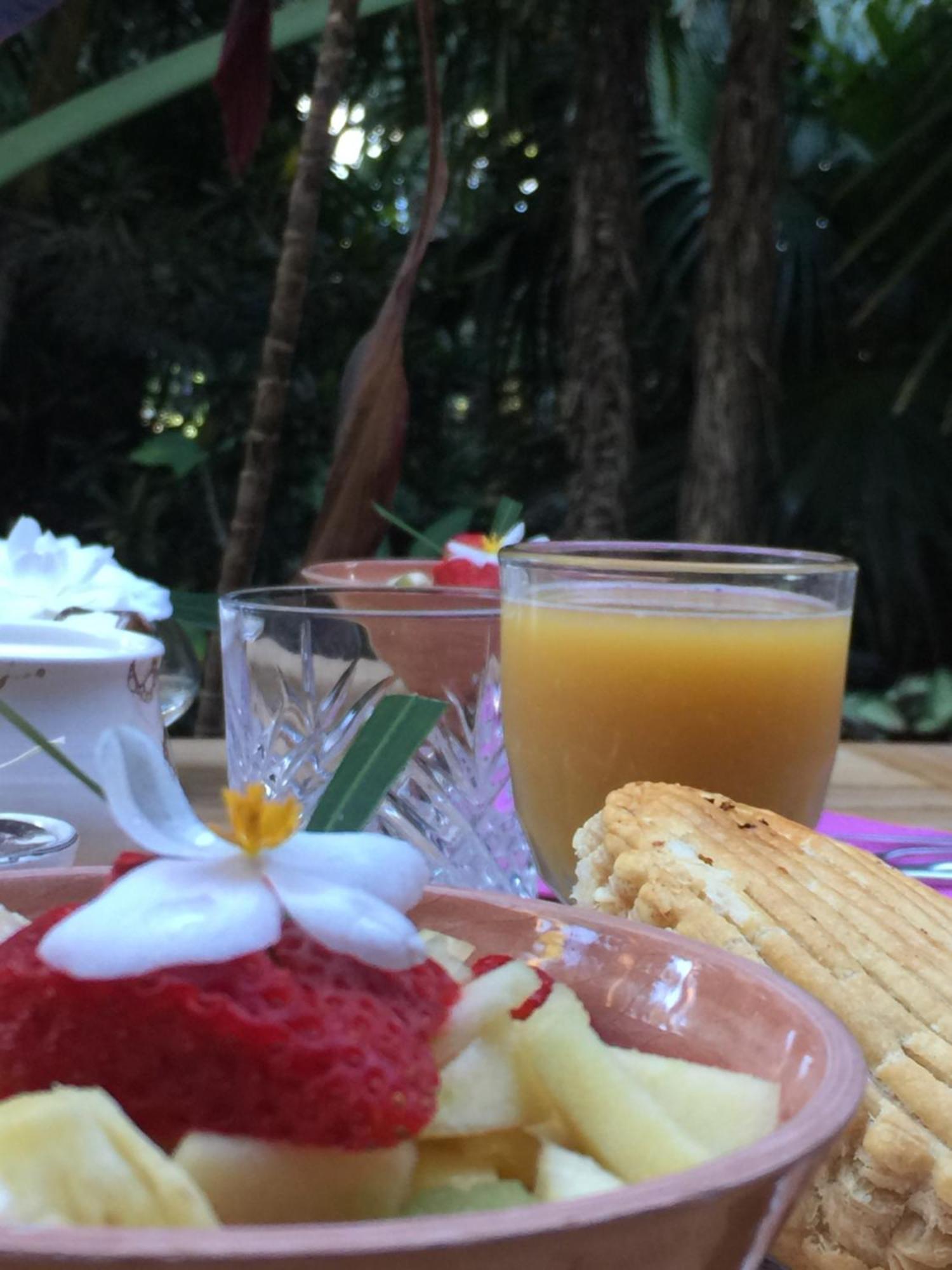 Lodge Palmae Saint Pierre Εξωτερικό φωτογραφία